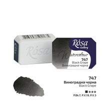 Load image into Gallery viewer, Rosa Gallery Artists Watercolours Full Pans 2.5ml