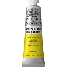 Load image into Gallery viewer, W&N Winton Oil Colour Paint 37ml Tube