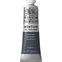 Load image into Gallery viewer, W&N Winton Oil Colour Paint 37ml Tube