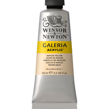 Load image into Gallery viewer, W&N Galeria Acrylic Paint 60ml Tube