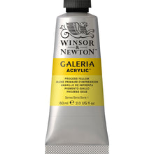 Load image into Gallery viewer, W&N Galeria Acrylic Paint 60ml Tube