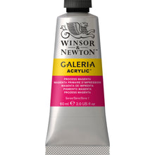 Load image into Gallery viewer, W&N Galeria Acrylic Paint 60ml Tube