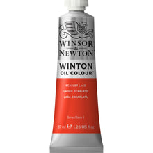 Load image into Gallery viewer, W&N Winton Oil Colour Paint 37ml Tube