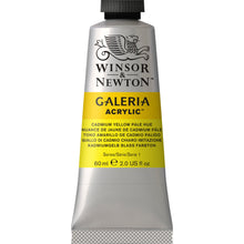 Load image into Gallery viewer, W&N Galeria Acrylic Paint 60ml Tube