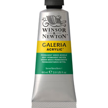 Load image into Gallery viewer, W&N Galeria Acrylic Paint 60ml Tube