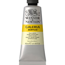 Load image into Gallery viewer, W&N Galeria Acrylic Paint 60ml Tube