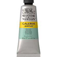 Load image into Gallery viewer, W&N Galeria Acrylic Paint 60ml Tube