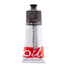 Load image into Gallery viewer, Graduate Oil Colour Paint 200ml
