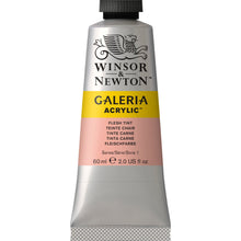Load image into Gallery viewer, W&N Galeria Acrylic Paint 60ml Tube