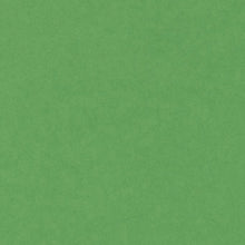 Load image into Gallery viewer, Canford Coloured Card A1 300gsm