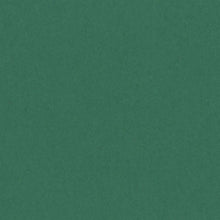 Load image into Gallery viewer, Canford Coloured Card A1 300gsm