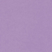 Load image into Gallery viewer, Canford Coloured Card A1 300gsm