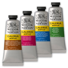 Load image into Gallery viewer, W&N Galeria Acrylic Paint 60ml Tube