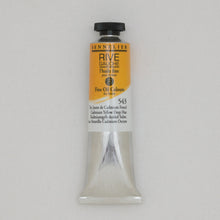 Load image into Gallery viewer, Sennelier Rive Gauche Oil Colour 40ml Tube