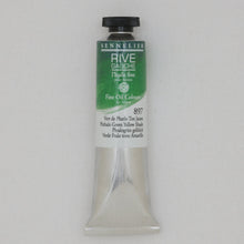 Load image into Gallery viewer, Sennelier Rive Gauche Oil Colour 40ml Tube