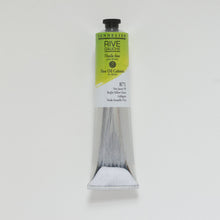 Load image into Gallery viewer, Sennelier Rive Gauche Oil Colour 200ml Tube