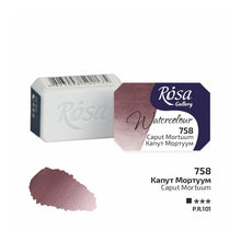 Load image into Gallery viewer, Rosa Gallery Artists Watercolours Full Pans 2.5ml