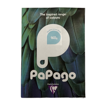 Load image into Gallery viewer, Coloured Papers A4 160gsm Papago