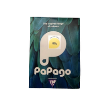 Load image into Gallery viewer, Coloured Papers A4 80gsm Papago