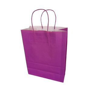 Twisted Handle Kraft Paper Bags Coloured 10"x12"