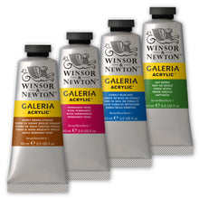Load image into Gallery viewer, W&amp;N Galeria Acrylic Paint 60ml Tube