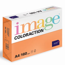 Load image into Gallery viewer, Coloured Papers A4 160gsm Coloraction