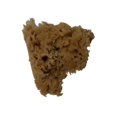 Natural Sea Sponge